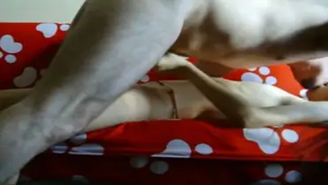 Live ABG Bispak Jakarta Hotel Bintang Lima Skandal Viral