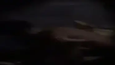 Subuh Tadi Ada Suara Plok Plok